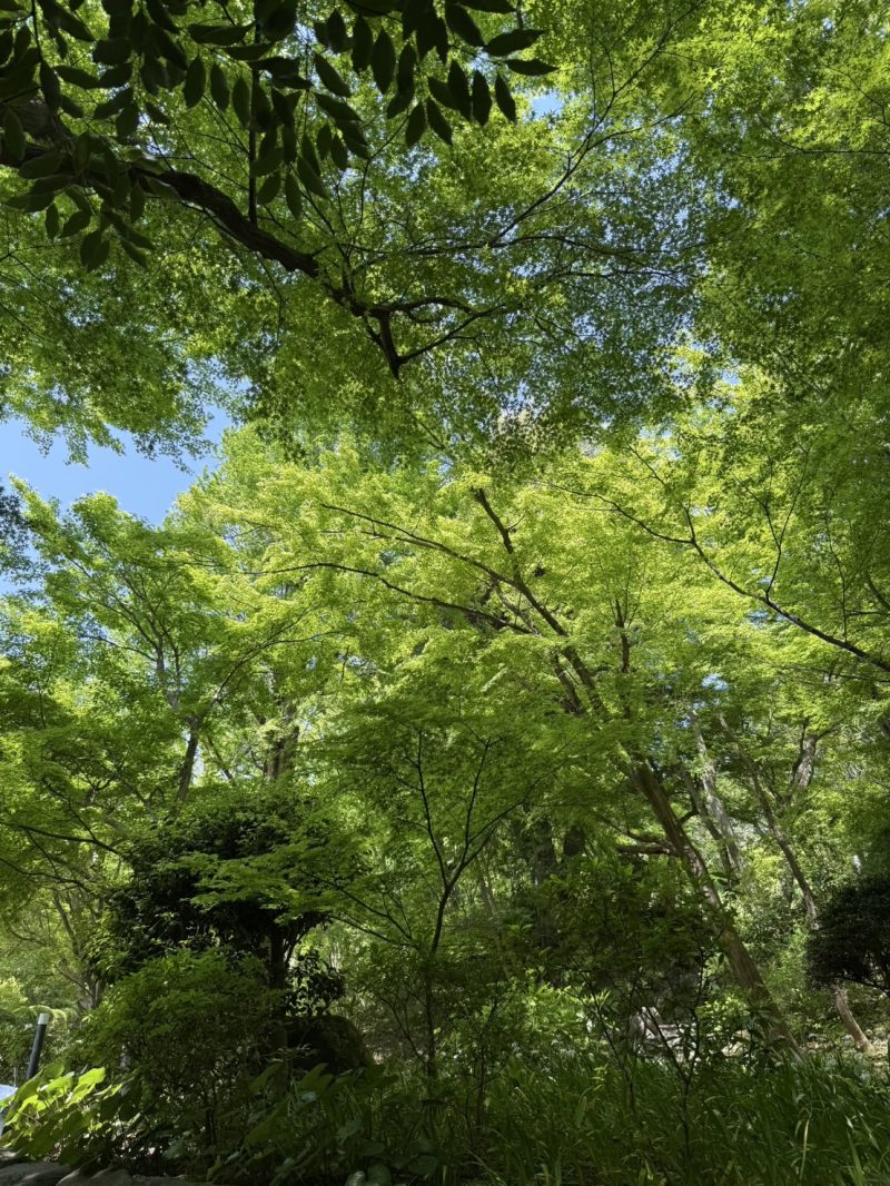 ストレスを『カテゴライズ』
